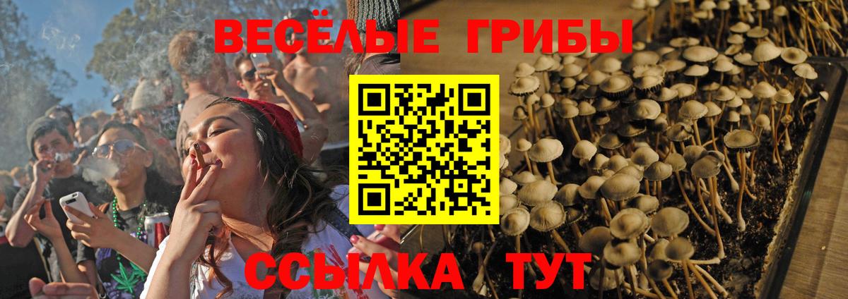 Псилоцибиновые грибы GOLDEN TEACHER  Вход с VPN  Мценск 